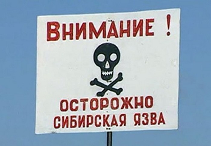  О профилактике сибирской язвы.