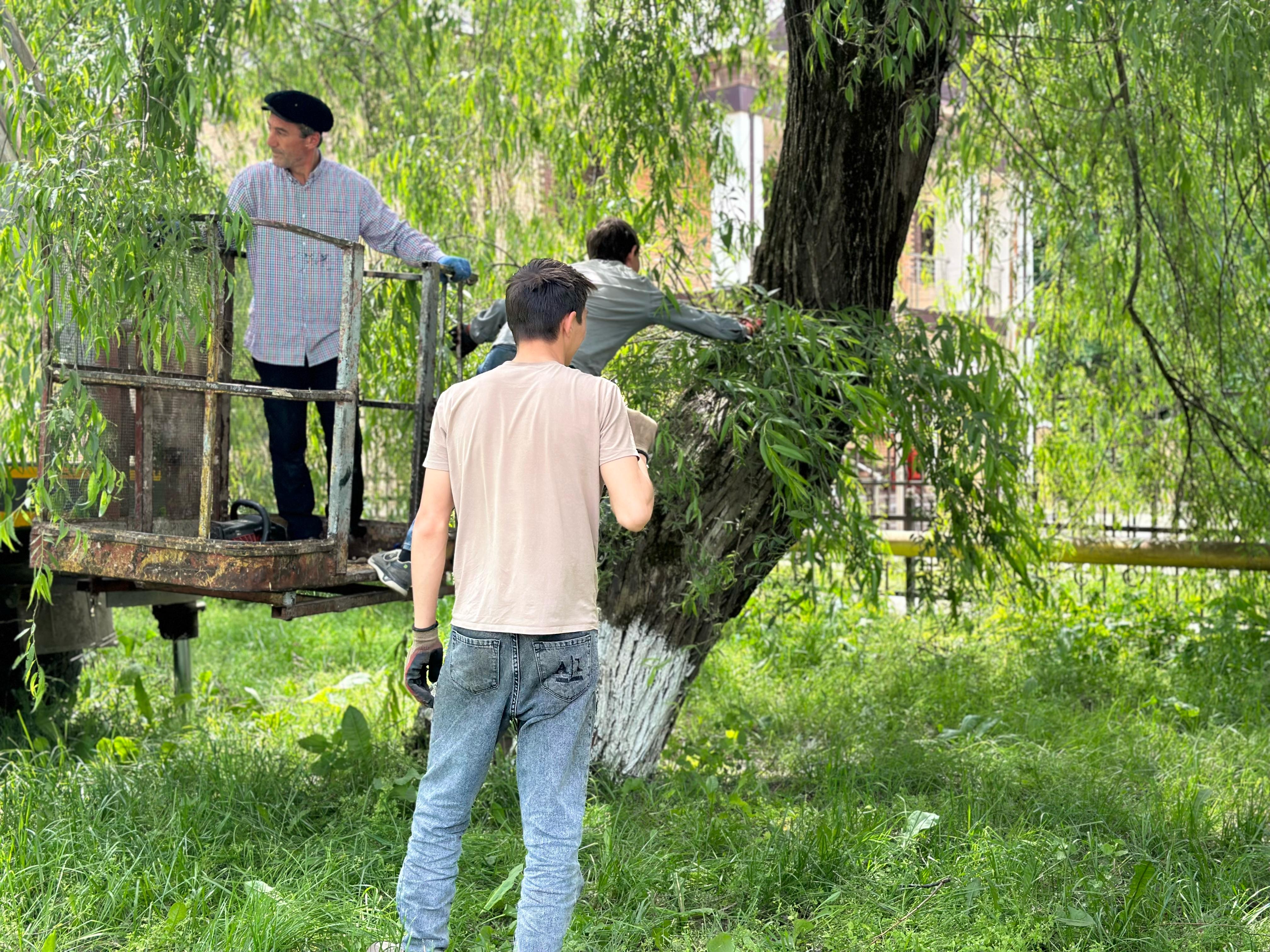 Обрезка деревьев по ул.Гоголя.