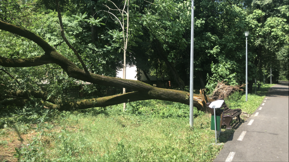 В Малгобеке из-за сильного ветра наблюдаются значительные повреждения инфраструктуры.