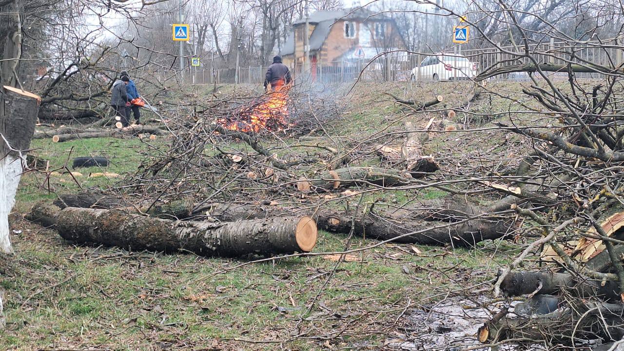 В парке культуры и отдыха им.Серго Орджоникидзе развернулась масштабная акция по уборке и обрезке аварийных и сухих деревьев.