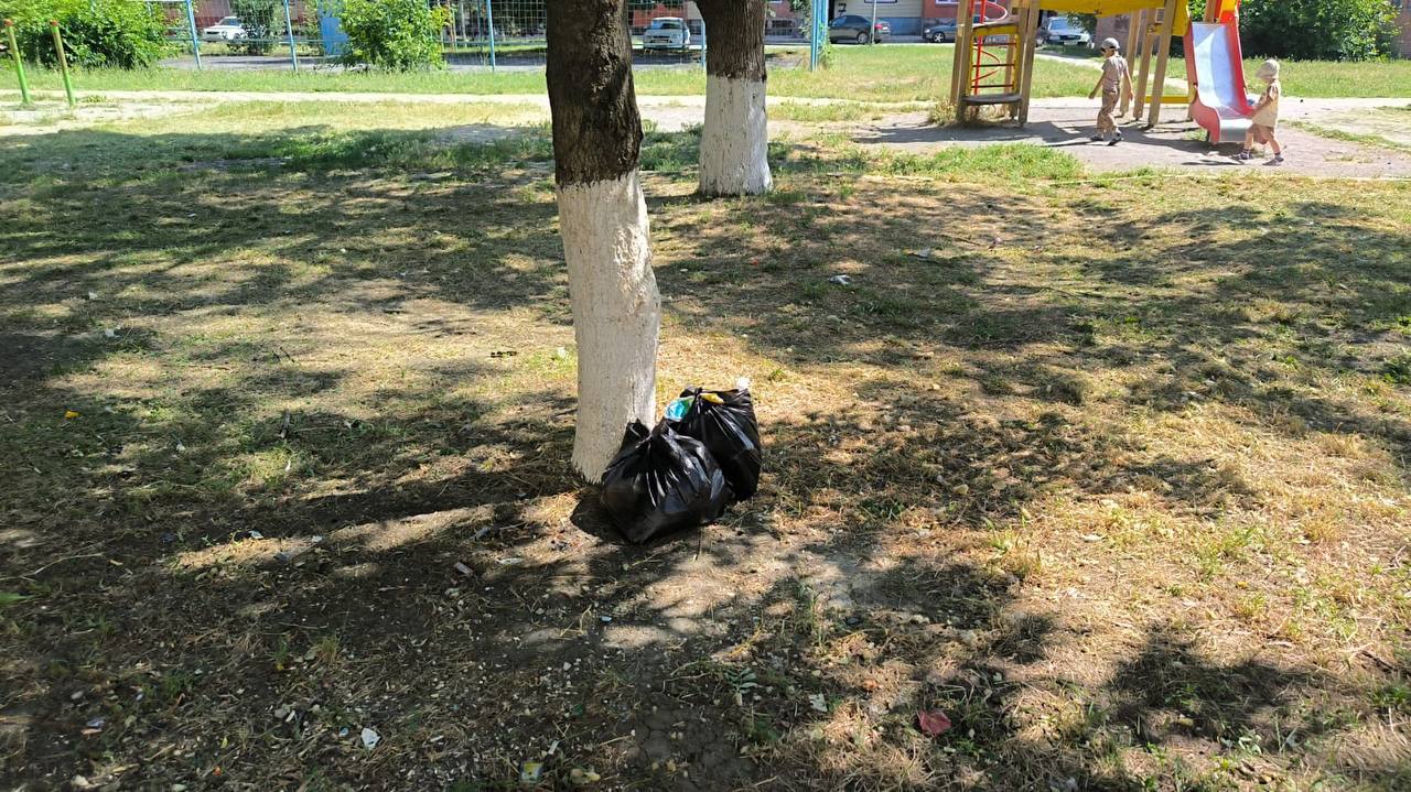 Проблема мусора в городе.