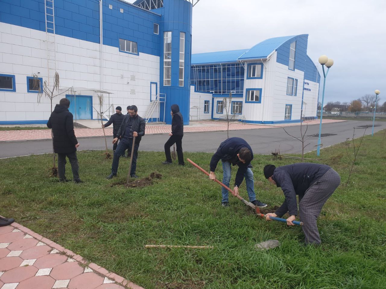 В Малгобеке прошла акция по посадке деревьев.