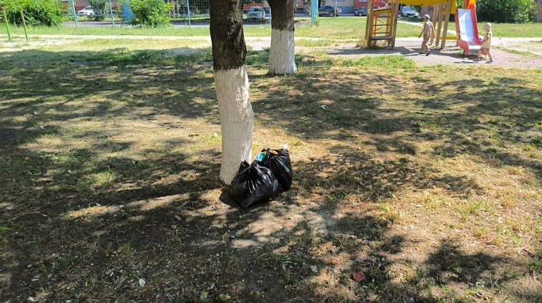 Проблема мусора в городе. Проблема мусора в городе.