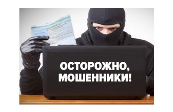 Источник - МВД РФ. Источник - МВД РФ.